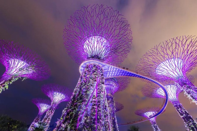 10 hoạt động miễn phí về đêm ở Singapore