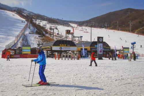 Konjiam là địa điểm trượt tuyết yêu thích gần thành phố Seoul. Ảnh: lonelyplanet