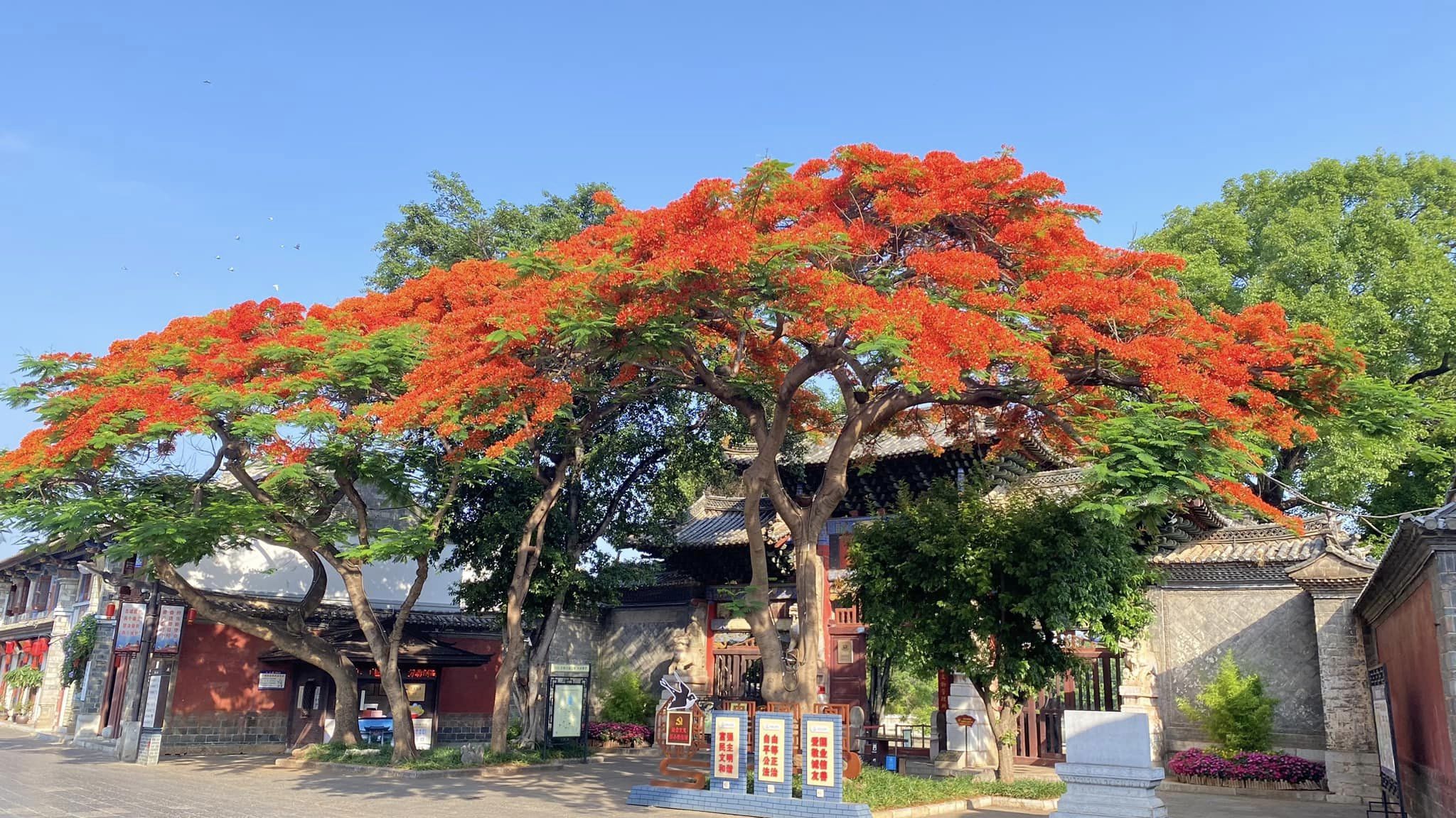 Tour Trung Quốc: Hà Khẩu - Kiến Thủy - Mông Tự 2 Ngày 1 Đêm - Vietnam  Tourist